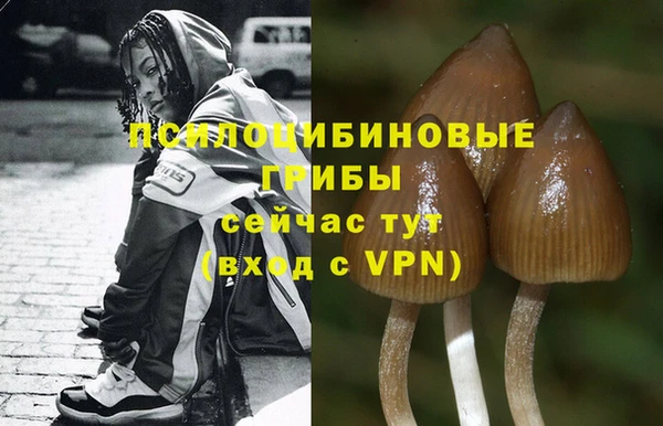 дживик Новокубанск