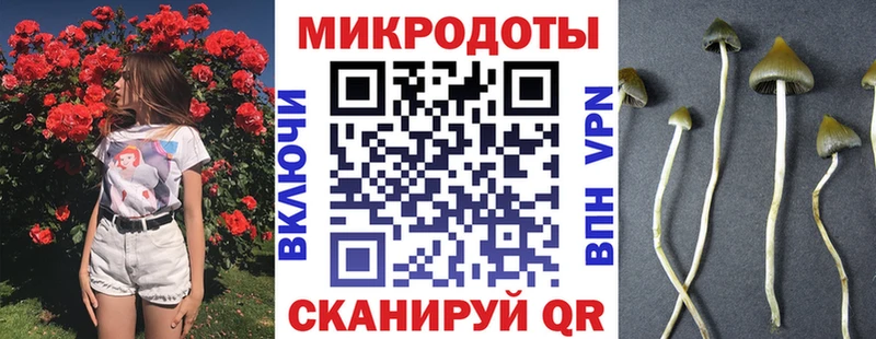 Галлюциногенные грибы прущие грибы купить сайты МЕГА зеркало Торжок