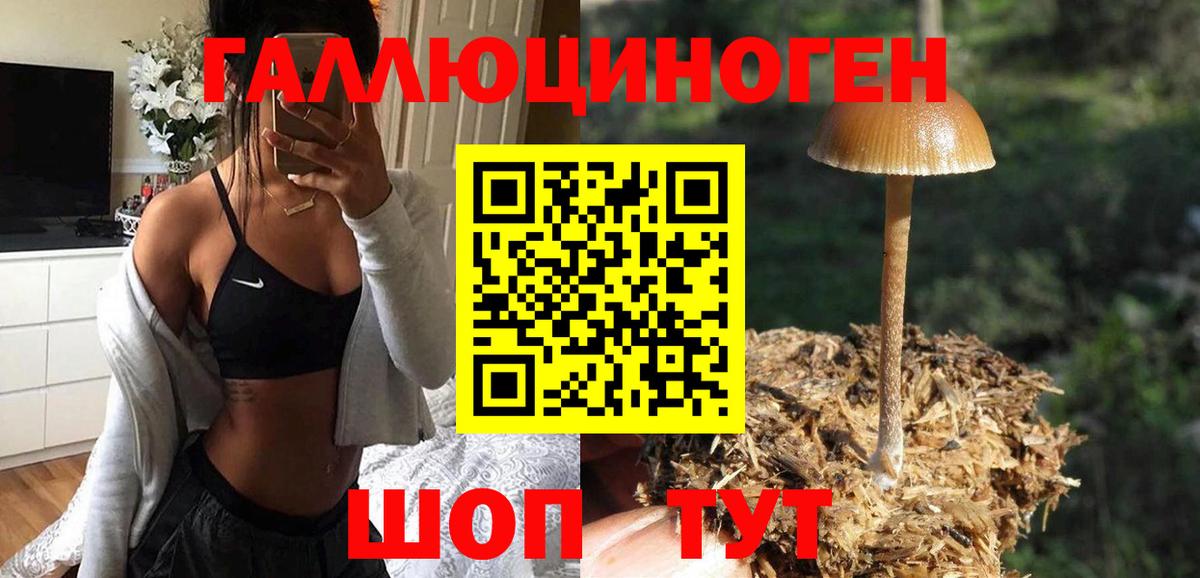 Псилоцибиновые грибы Magic Shrooms Торжок