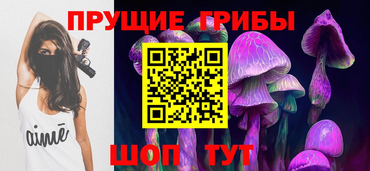 Торжок  Галлюциногенные грибы Psilocybe  Вход с VPN 