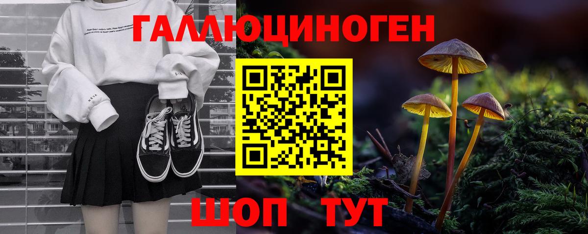 Галлюциногенные грибы Торжок